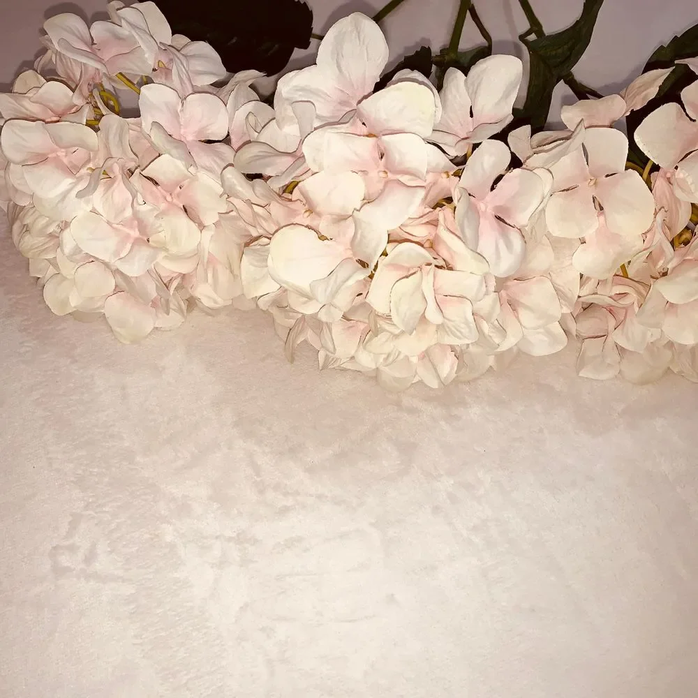 N/A hydrangea three